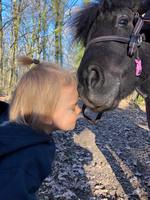 ECOLE BEBE PONEY
